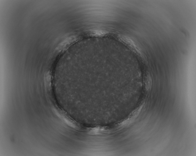 X0000111420366200908101100