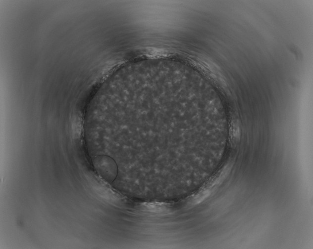 X0000111420367200908101100