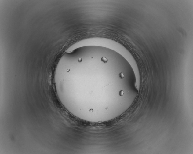 X0000111420368200908101100