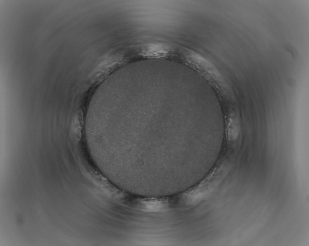 X0000111420370200908101100