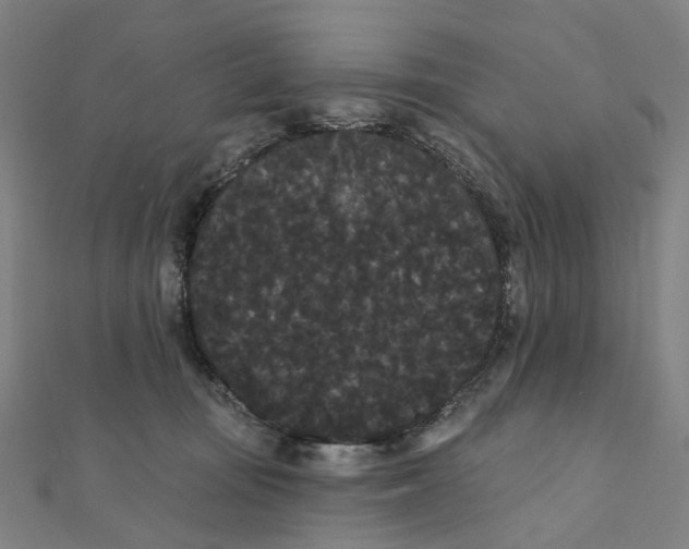 X0000111420371200908101100
