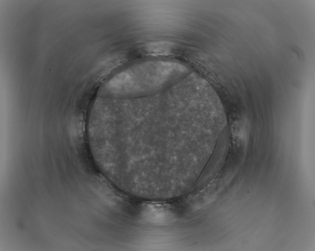 X0000111420372200908101100