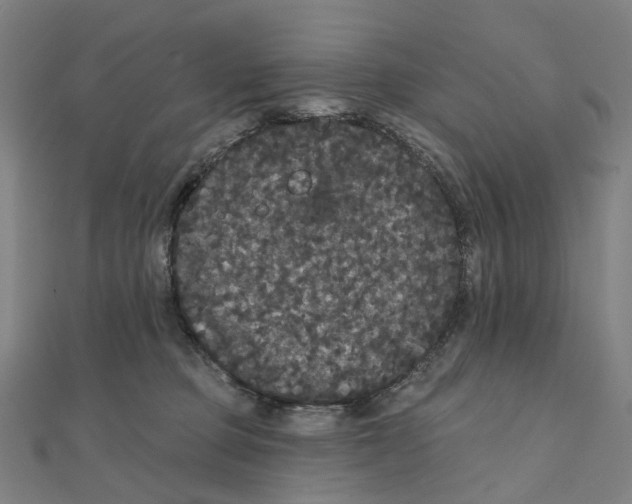 X0000111420373200908101101
