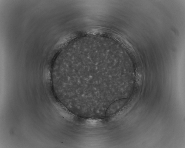 X0000111420375200908101101