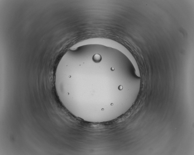 X0000111420376200908101101