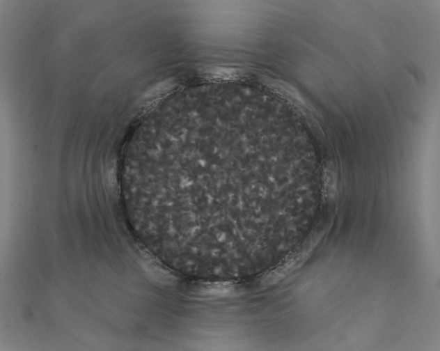 X0000111420377200908101101