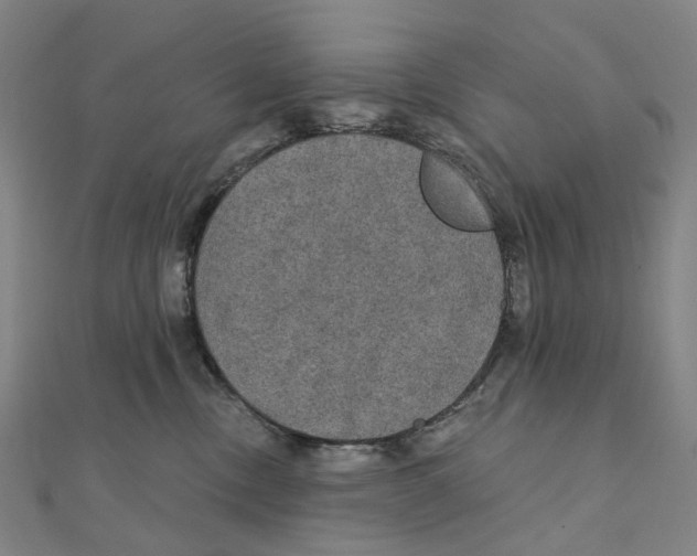 X0000111420378200908101101