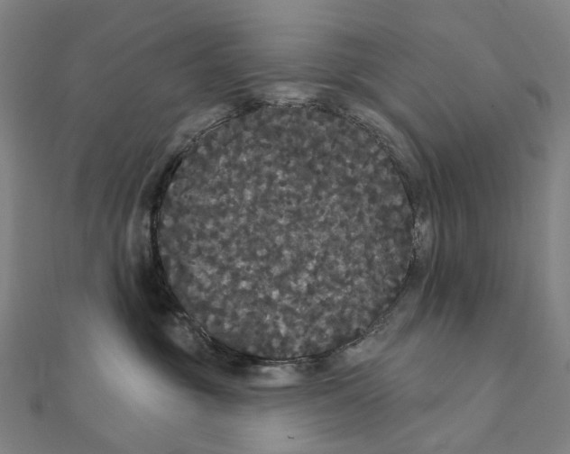 X0000111420381200908101101