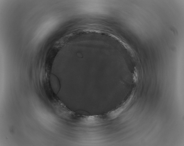 X0000111420382200908101101
