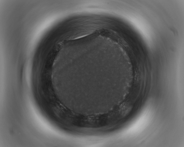 X0000111420383200908101101