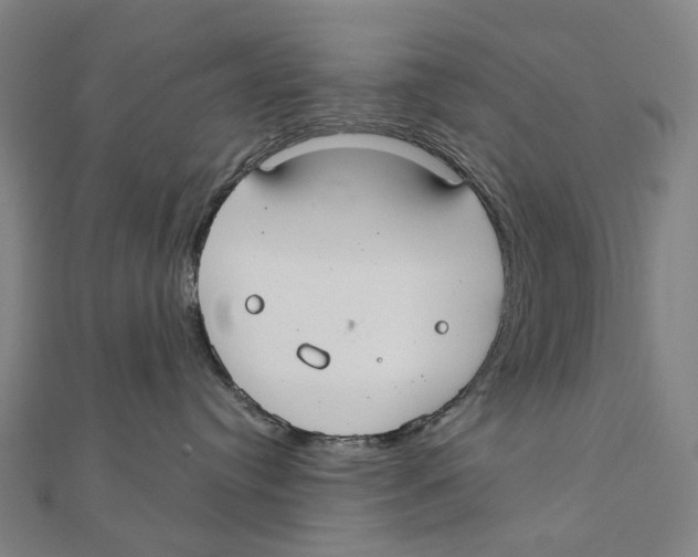 X0000111420384200908101101