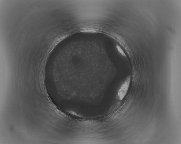 X0000111420385200908101100