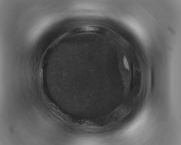 X0000111420387200908101100
