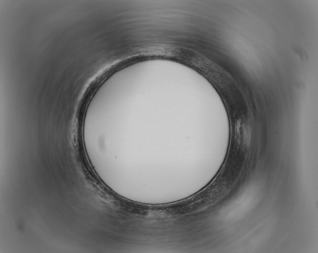 X0000111420388200908101100