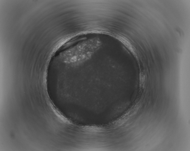 X0000111420389200908101100