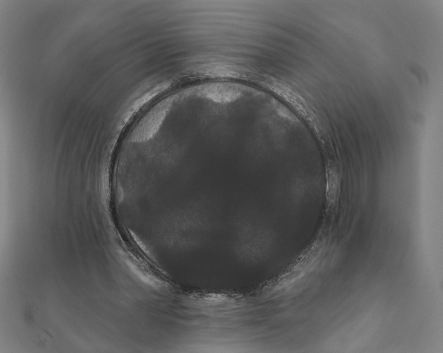 X0000111420390200908101100