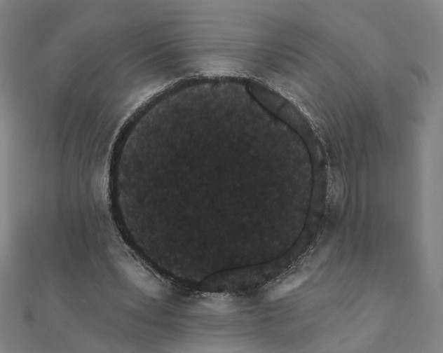 X0000111420391200908101100