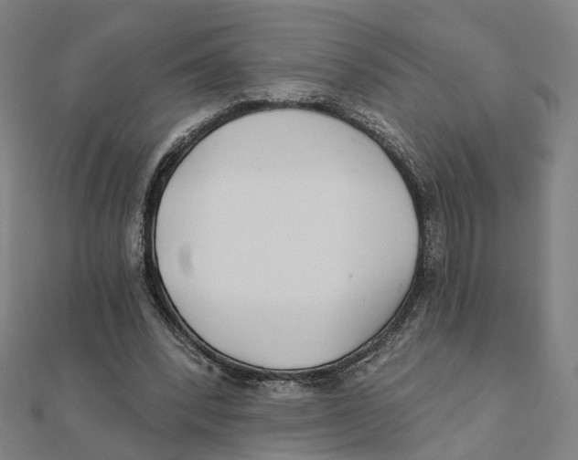 X0000111420392200908101100