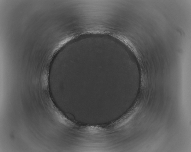 X0000111420393200908101100