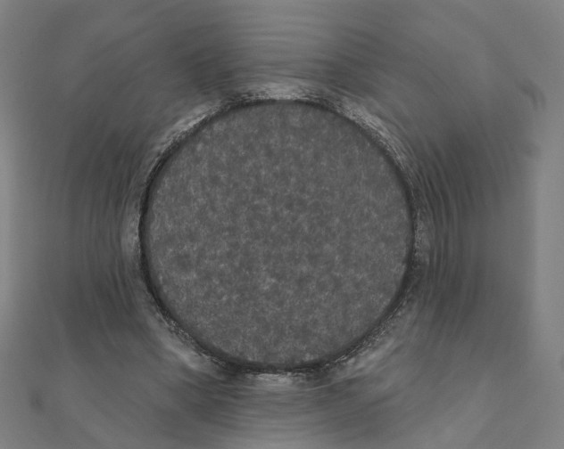 X0000111420394200908101100