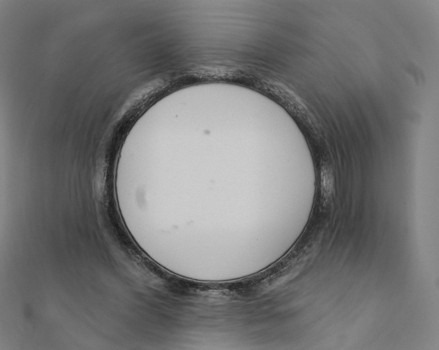 X0000111420396200908101100