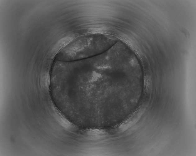 X0000111420397200908101100