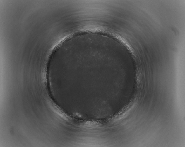 X0000111420399200908101100