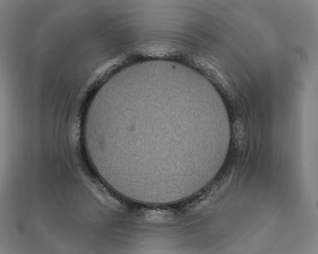 X0000111420400200908101100