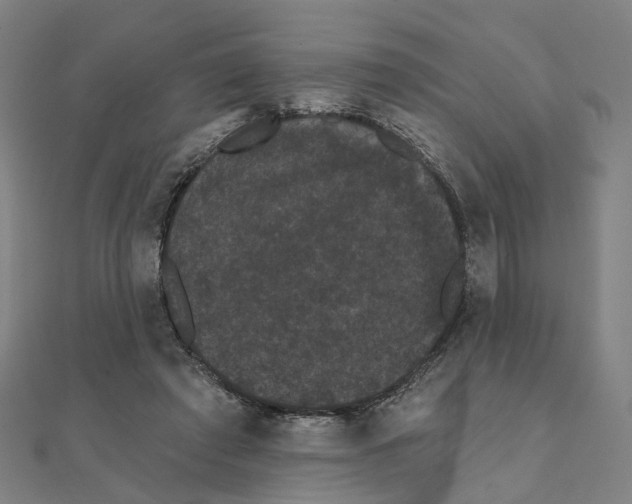 X0000111420401200908101100