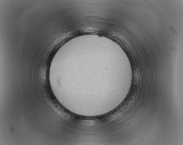 X0000111420404200908101100