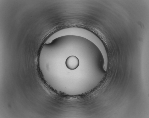 X0000111420405200908101100