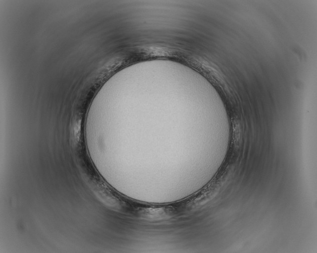 X0000111420406200908101100
