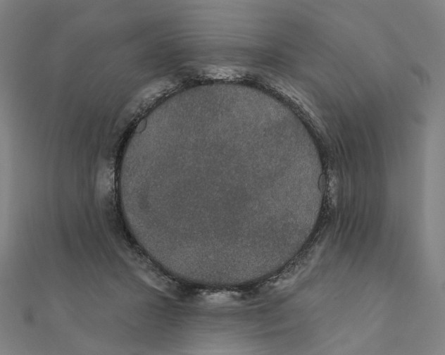 X0000111420407200908101100