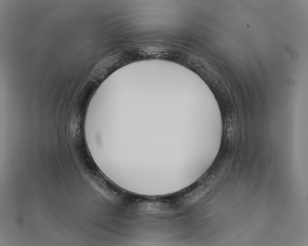X0000111420408200908101100