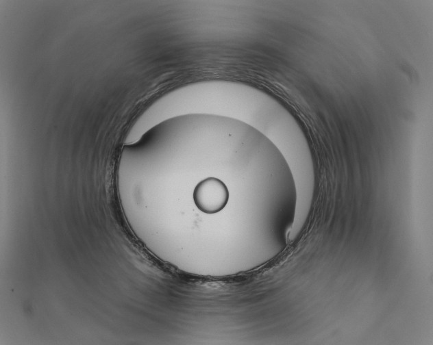 X0000111420409200908101100