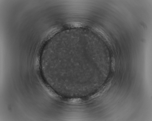 X0000111420410200908101100