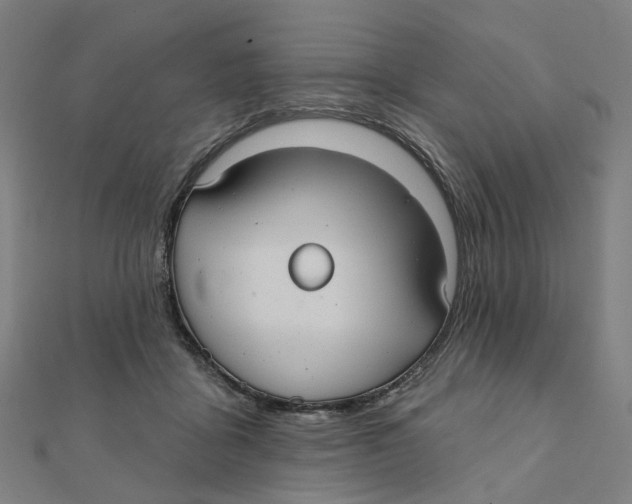 X0000111420411200908101100
