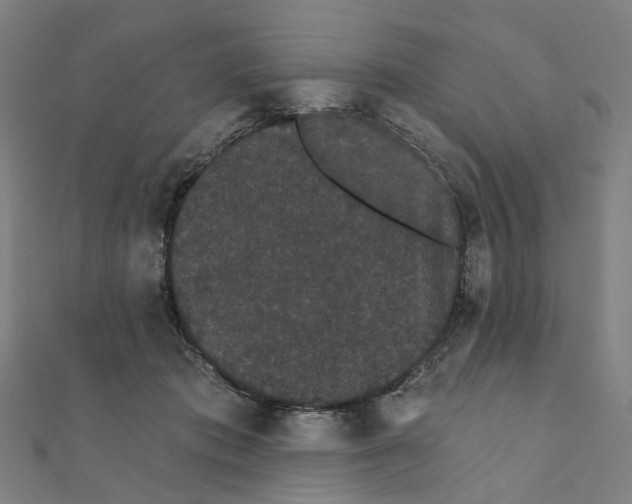 X0000111420413200908101100