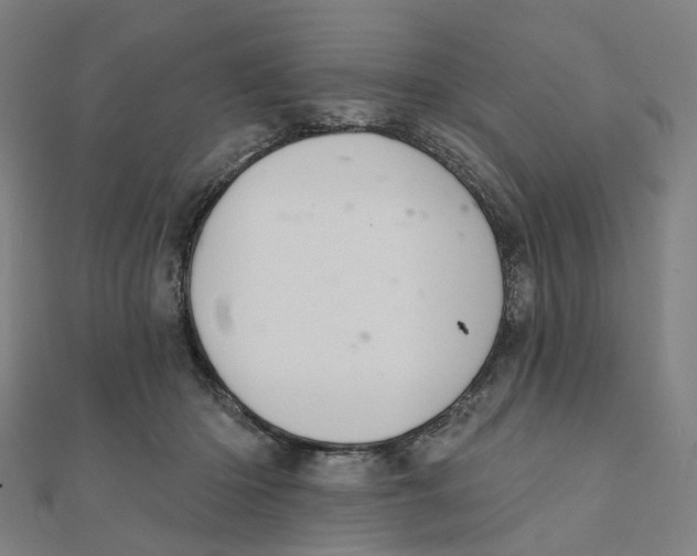 X0000111420414200908101100