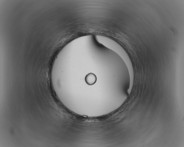 X0000111420415200908101100