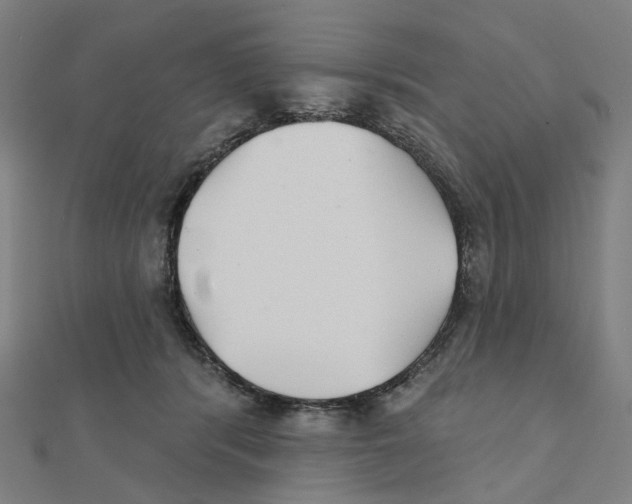 X0000111420416200908101100