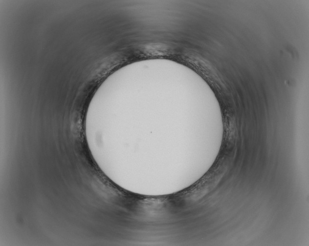 X0000111420418200908101100