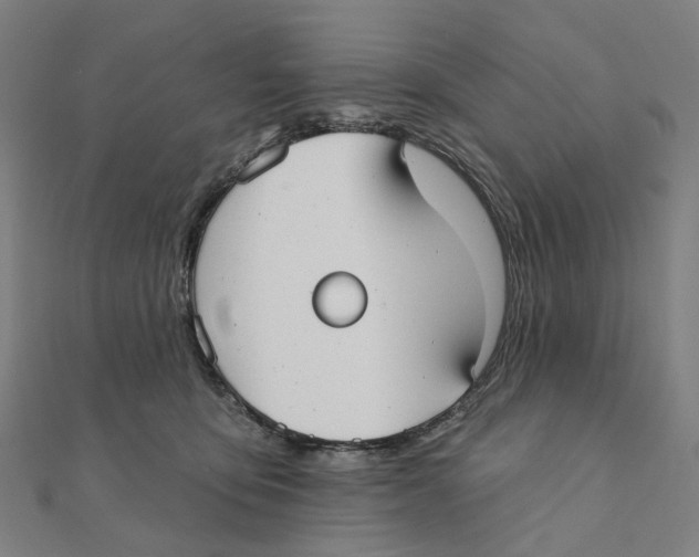 X0000111420419200908101100