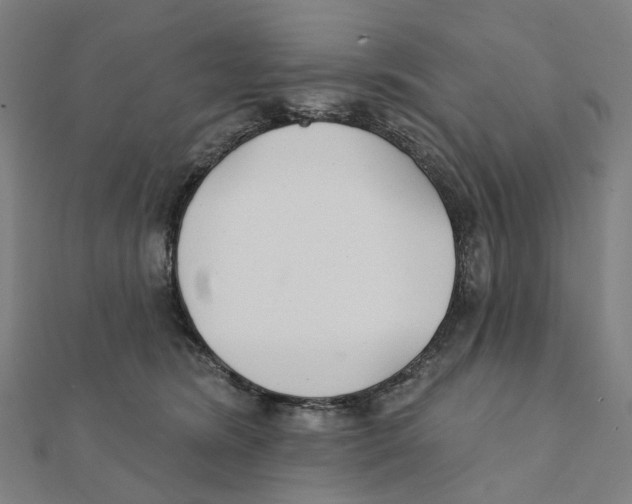 X0000111420420200908101100