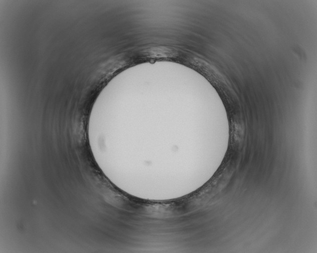 X0000111420422200908101100