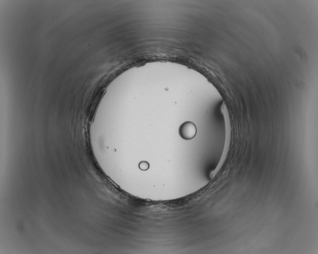 X0000111420423200908101100