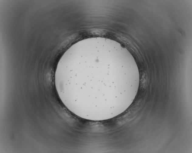 X0000111420424200908101100