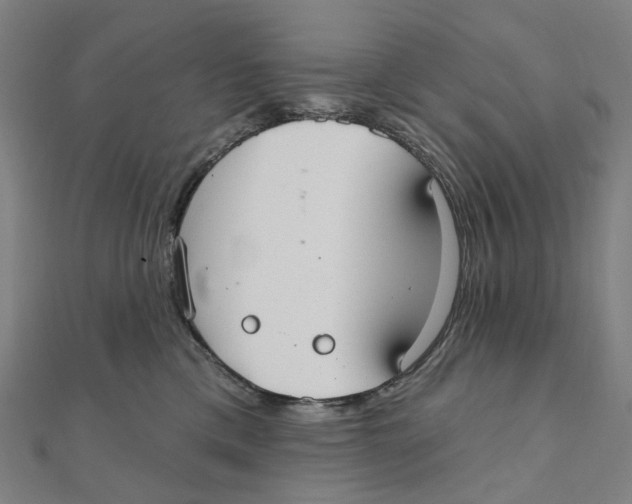 X0000111420425200908101100