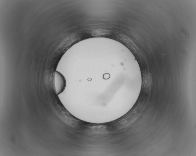 X0000111420426200908101100