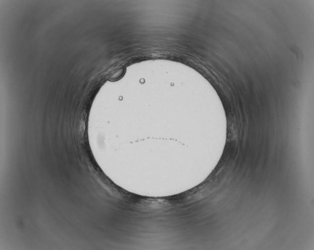 X0000111420427200908101059